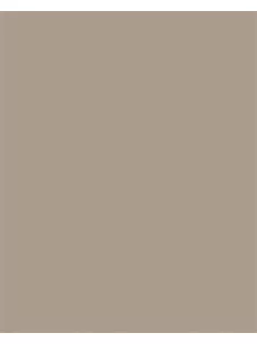   FOLIA Dekorkarton, 2 oldalas, A4, 300 g, 50 lap, FOLIA, cappuccino