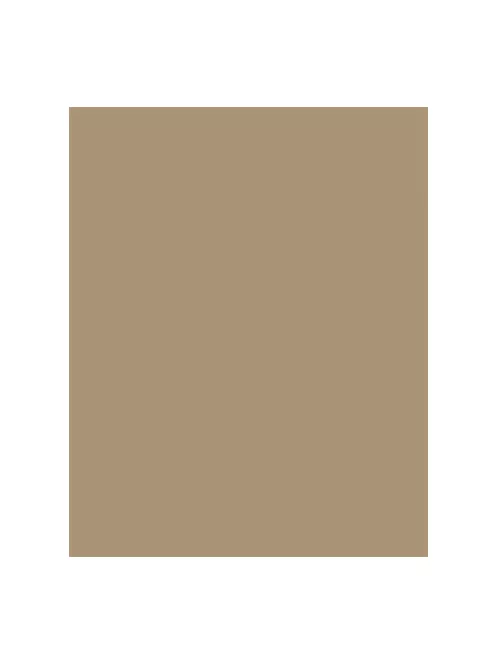 FOLIA Dekorkarton, 2 oldalas, A4, 300 g, 50 lap, FOLIA, őzbarna