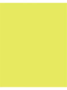   FOLIA Dekorkarton, 2 oldalas, 50x70 cm, 300 g, 10 lap, FOLIA, lime