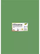 FOLIA Dekorkarton, 2 oldalas, 50x70 cm, 300 g, 10 lap, FOLIA, mohazöld