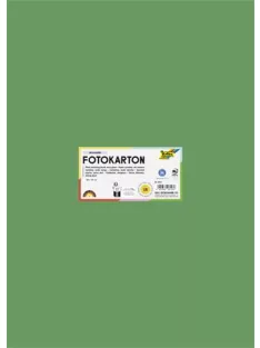   FOLIA Dekorkarton, 2 oldalas, 50x70 cm, 300 g, 10 lap, FOLIA, mohazöld