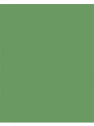 FOLIA Dekorkarton, 2 oldalas, 50x70 cm, 300 g, 10 lap, FOLIA, mohazöld