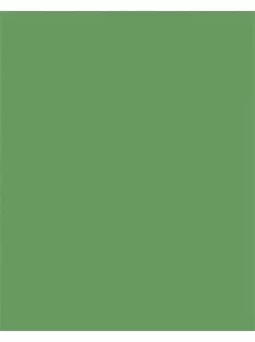   FOLIA Dekorkarton, 2 oldalas, 50x70 cm, 300 g, 10 lap, FOLIA, mohazöld