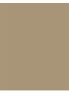 FOLIA Dekorkarton, 2 oldalas, 50x70 cm, 300 g, 10 lap, FOLIA, őzbarna