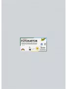 FOLIA Dekorkarton, 2 oldalas, 50x70 cm, 300 g, 10 lap, FOLIA, halvány szürke