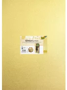 FOLIA Dekorkarton tömb, csillámos, 1 oldalas, 50x70 cm, 300g, 5 lap, FOLIA, arany