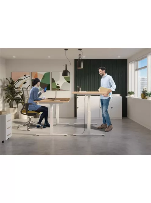 MAYAH Állítható magasságú íróasztal, 160x80 cm, MAYAH "Freedom SV-303", juhar