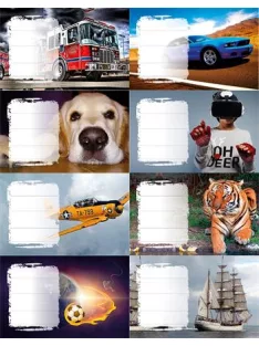   PANTA PLAST Füzetcímke, 24 db, PANTA PLAST, "Boys"