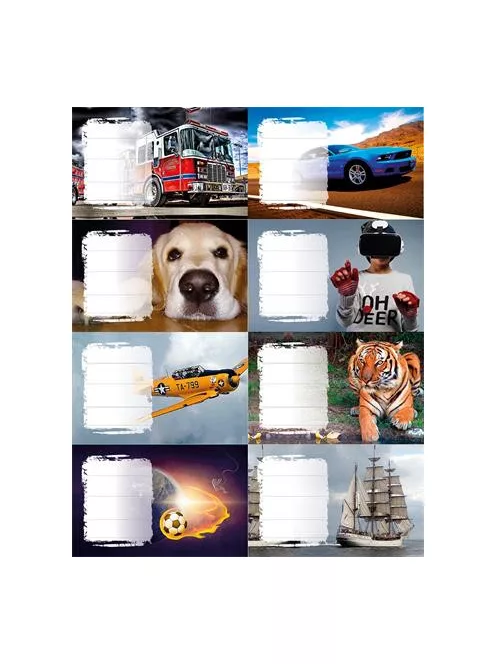 PANTA PLAST Füzetcímke, 24 db, PANTA PLAST, "Boys"