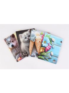   Igazolványtartó, álló, 10 betét lappal, mintás PVC, "Bővített személyi", lány