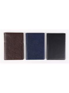   Igazolványtartó, álló, 10 betét lappal, PVC, "Bővített személyi", férfi