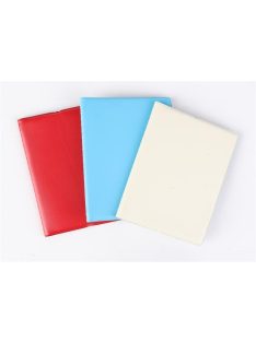   Igazolványtartó, álló, 16 betét lappal, PVC, "Okmányok", női