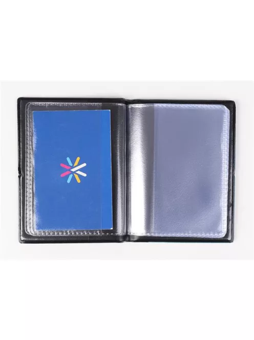 Igazolványtartó, álló, 16 betét lappal, PVC, "Okmányok", női