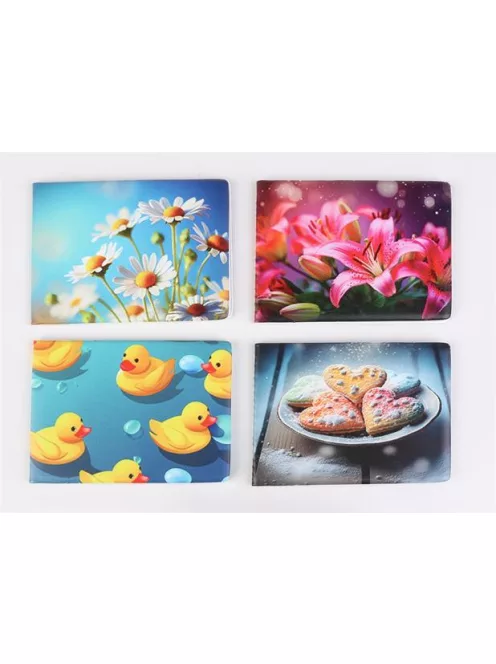 Diák- és igazolványtartó, fekvő, 6 betét lappal, mintás PVC, "Többlapos", lány