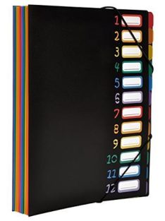   VIQUEL Irattartó mappa, gumis, 12 részes, VIQUEL "Rainbow Class", fekete