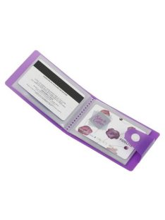   VIQUEL Bankkártya-és igazolványtartó, 20 betétlappal, VIQUEL, "Propyglass",vegyes színek