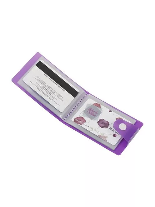 VIQUEL Bankkártya-és igazolványtartó, 20 betétlappal, VIQUEL, "Propyglass",vegyes színek