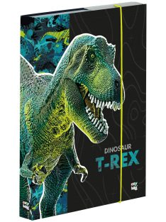 Dinoszaurusz füzetbox A/5, T-REX, zöld-fekete