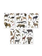 APLI Matrica, újra felhasználható, 50 db, APLI Kids "Stickers", szavanna állatai