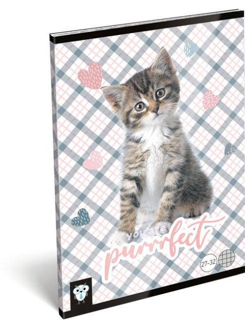 Lizzy Card cicás tűzött füzet A/5, 32 lap kockás, Purrrfect