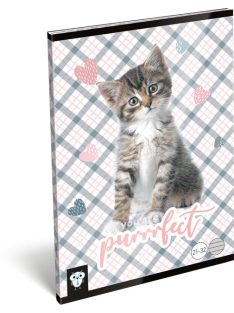   Lizzy Card cicás tűzött füzet A/5, 32 lap vonalas, Purrrfect