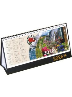   CSIZIO Naptár, asztali, álló, CSÍZIÓ, "Öko", fekete