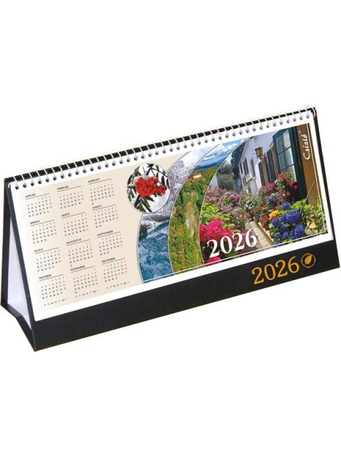 CSIZIO Naptár, asztali, álló, CSÍZIÓ, "Öko", fekete