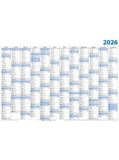 DAYLINER Plakátnaptár, éves, 98x68 cm, DAYLINER