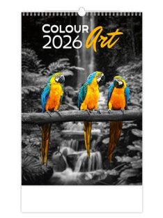 DAYLINER Naptár, fali, DAYLINER "Colour Art"