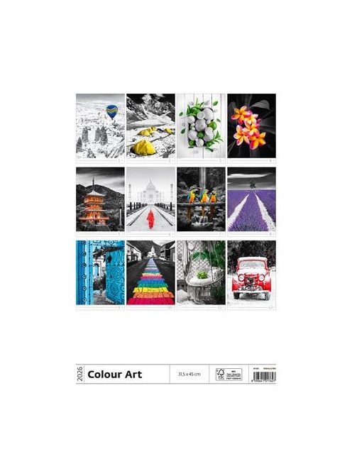 DAYLINER Naptár, fali, DAYLINER "Colour Art"