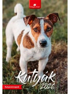 DAYLINER Naptár, fali, DAYLINER, "Kutyák"