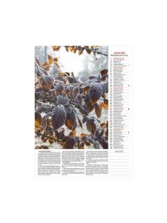 TOPTIMER Naptár, fali, TOPTIMER "Kertésznaptár"