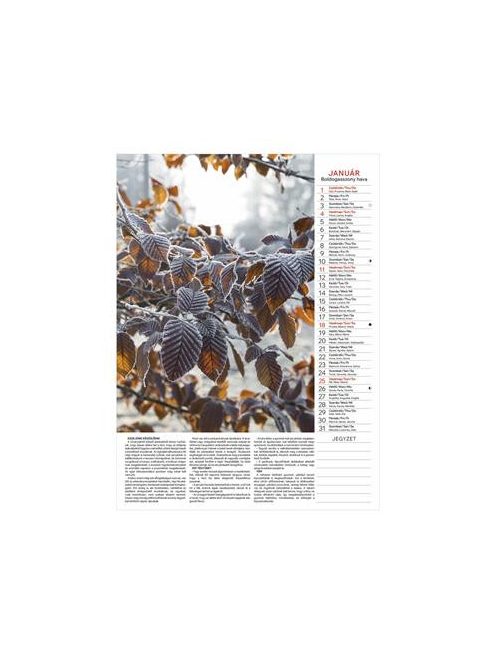 TOPTIMER Naptár, fali, TOPTIMER "Kertésznaptár"