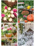 TOPTIMER Naptár, fali, TOPTIMER "Kertésznaptár"