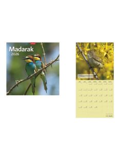 TOPTIMER Naptár, fali, TOPTIMER "Madarak"