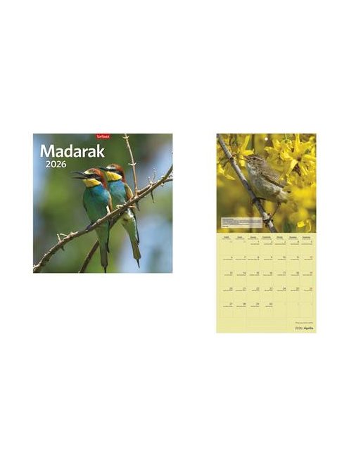 TOPTIMER Naptár, fali, TOPTIMER "Madarak"