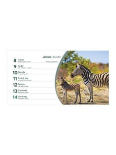   TOPTIMER Naptár, asztali, álló, TOPTIMER, "Állatvilág"