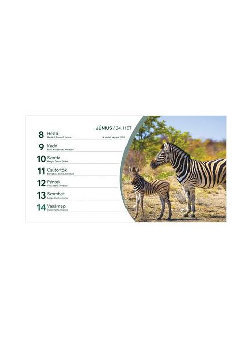 TOPTIMER Naptár, asztali, álló, TOPTIMER, "Állatvilág"