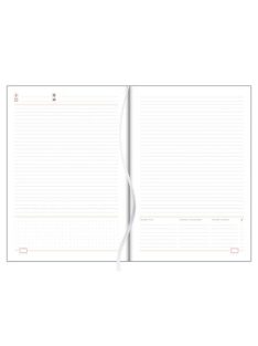   DAYLINER Tárgyalási napló, B5, DAYLINER, "Memphis", kék-zöld