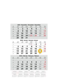   DAYLINER Naptár, speditőr, három hónapos, egy tömbös, üres fejrész, DAYLINER