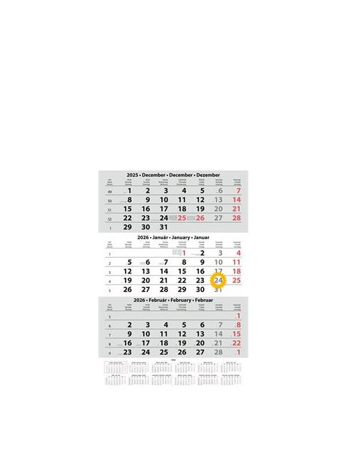 DAYLINER Naptár, speditőr, három hónapos, egy tömbös, üres fejrész, DAYLINER