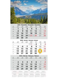   DAYLINER Naptár, speditőr, három hónapos, egy tömbös, DAYLINER