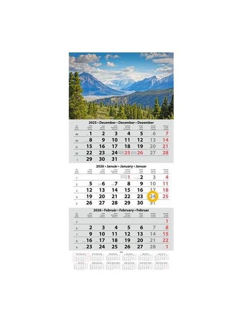 DAYLINER Naptár, speditőr, három hónapos, egy tömbös, DAYLINER