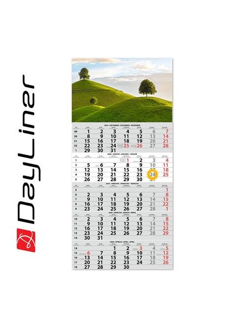 DAYLINER Naptár, speditőr, öt hónapos, egy tömbös, DAYLINER