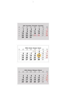   DAYLINER Naptár, speditőr, három hónapos, három tömbös, üres fejrész, DAYLINER