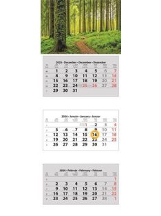   DAYLINER Naptár, speditőr, három hónapos, három tömbös, DAYLINER