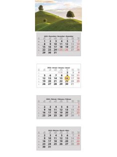   DAYLINER Naptár, speditőr, négy hónapos, négy tömbös, DAYLINER