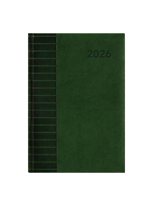DAYLINER Naptár, tervező, A5, napi, DAYLINER, "Tucson", zöld