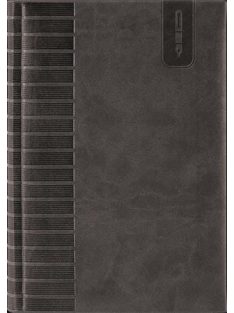   DAYLINER Tárgyalási napló, B5, DAYLINER, "Tucson", fekete