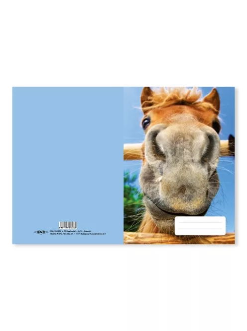 Pd School Füzetborító pd A/5 bámu-ló